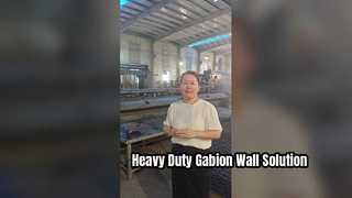 PVC Coated Galvanized Iron Wire Hexagonal Gabion Basket Cage Wall Mesh 2x1x1m